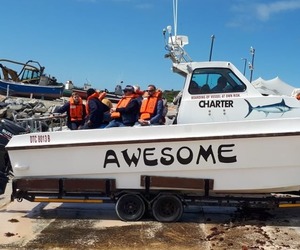 Southern Right Whales