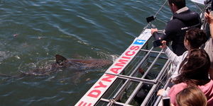 20190212_SF_Trip2_RWatson_IMG132_1550039269