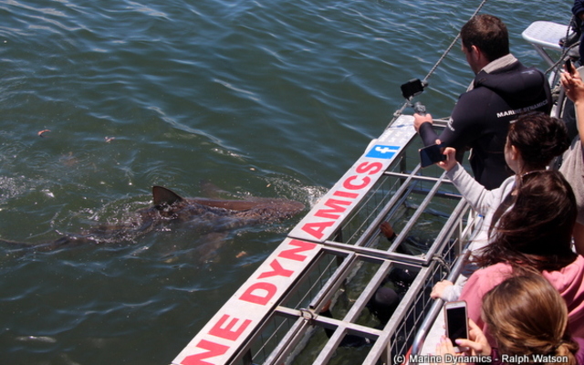 20190212_SF_Trip2_RWatson_IMG132_1550039269