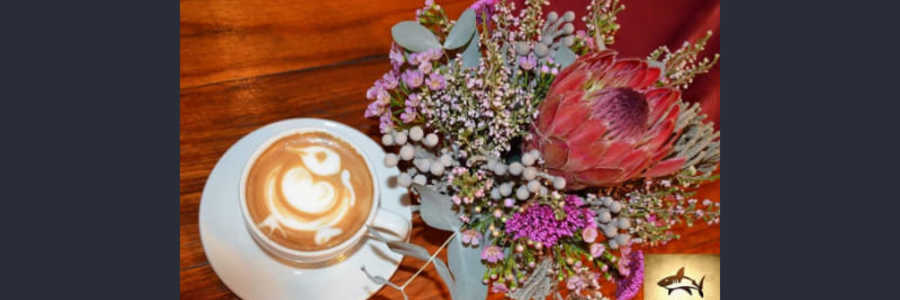 51668592_2295035473890998_712919126087041024_n_1550054709