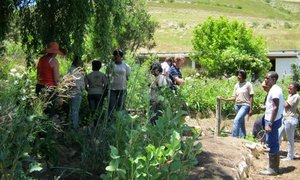 Growing the Future visits Jakkalskloof