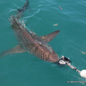 48926501_2050755091670812_7066097104665444352_n_1551251276