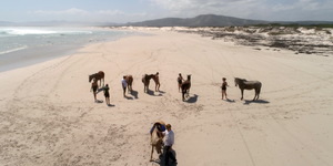 Gansbaai & Pearly Beach Horse Trails