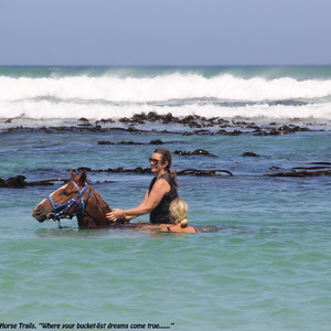 Gansbaai & Pearly Beach Horse Trails