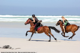 Latest TripAdvisor Review