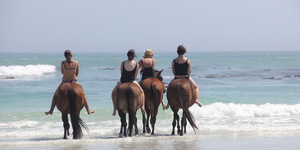 Gansbaai & Pearly Beach Horse Trails