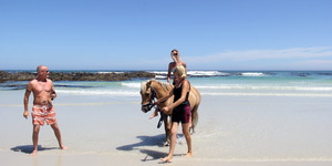 Gansbaai & Pearly Beach Horse Trails