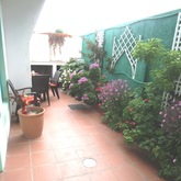 Oystercatcher garden patio