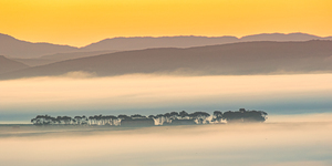 Misty sunrise in the Overberg