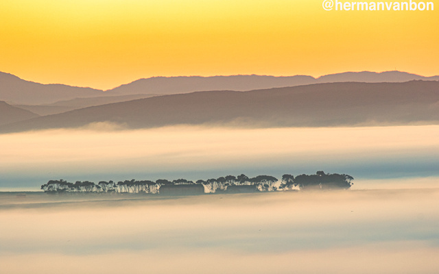 Misty sunrise in the Overberg