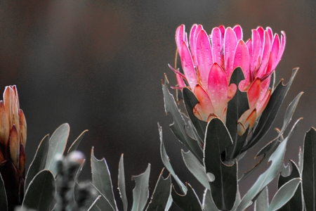 farm_215_nature_6_1513256944_1551943420