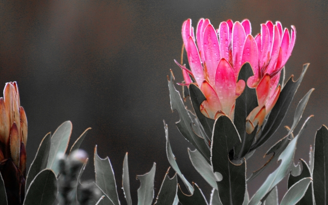 farm_215_nature_6_1513256944_1551943420