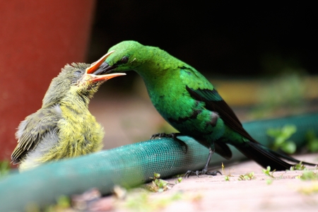 farm_215_nature_9_1513257688_1551943419