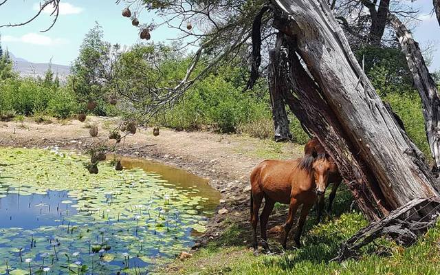 50448741_787041748320595_8343189068737150976_n_1570020439