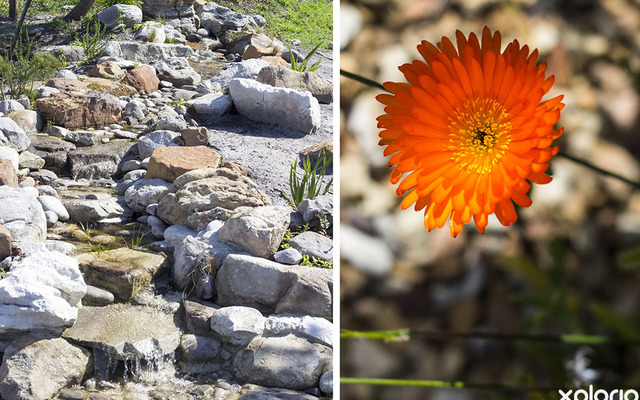 kleinmond_gardens_banwell_gardens_handmade_water_feature_1536328441_1551945535