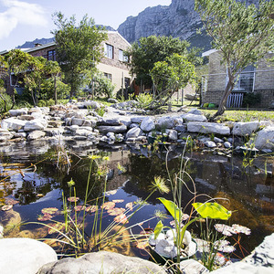 kleinmond_gardens_banwell_gardens_pond_1536328495_1551945535