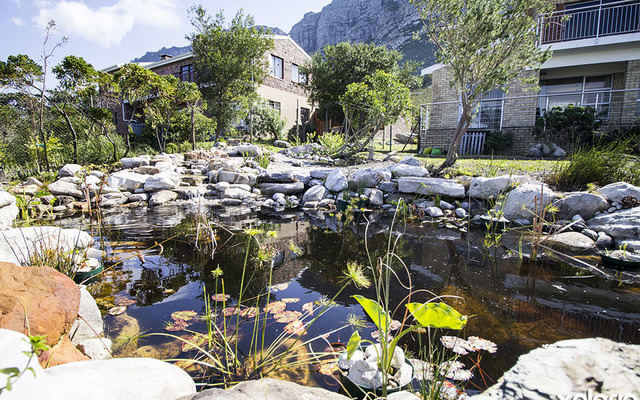 kleinmond_gardens_banwell_gardens_pond_1536328495_1551945535