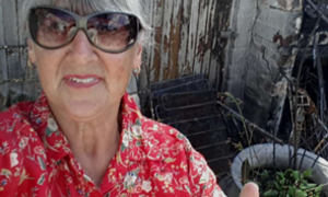 Seemeeu 1/2019: Verwoestende Brande in FranskraalÂ 