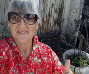 Seemeeu 1/2019: Verwoestende Brande in FranskraalÂ 