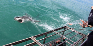 20190312_SF_Trip1_RWatson_IMG057_1552466287