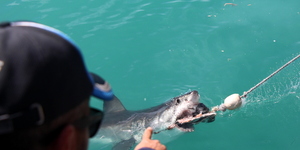 20190312_SF_Trip1_RWatson_IMG095_1552466289