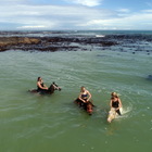 Another day, another trail - 2 Feb 2019