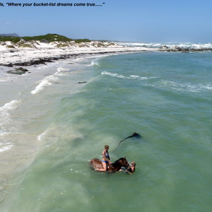 Gansbaai & Pearly Beach Horse Trails