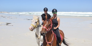 Gansbaai & Pearly Beach Horse Trails