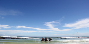 Gansbaai & Pearly Beach Horse Trails