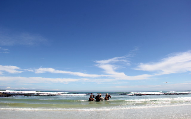 Gansbaai & Pearly Beach Horse Trails