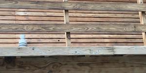 Franskraal_5_1__1552554813