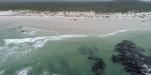 Gansbaai & Pearly Beach Horse Trails