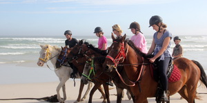 Gansbaai & Pearly Beach Horse Trails