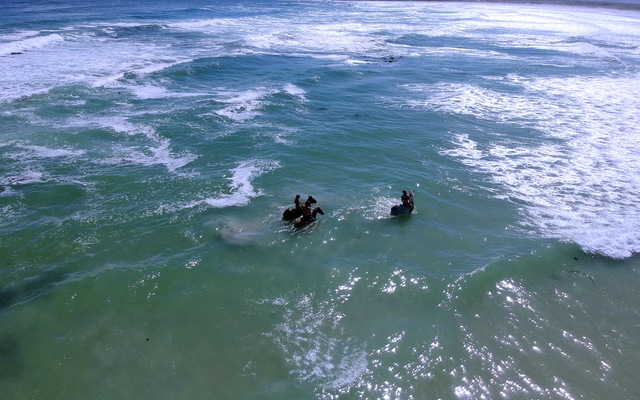 Gansbaai & Pearly Beach Horse Trails