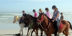 Gansbaai & Pearly Beach Horse Trails