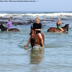 Gansbaai & Pearly Beach Horse Trails