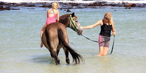 Gansbaai & Pearly Beach Horse Trails