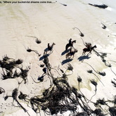 Gansbaai & Pearly Beach Horse Trails