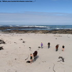 Gansbaai & Pearly Beach Horse Trails
