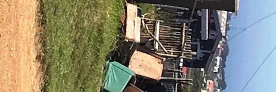 PK_Accumlated_junk_2019_1553968892