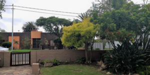 seeff_garden_1554111195