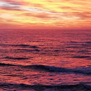 53050707_1137836716375848_2848938844949053440_n_1554111416