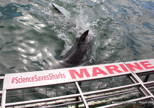 Daily Blog 01 April 2019