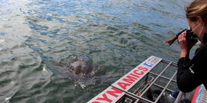 20190401_SF_Trip1_RWatson_IMG045_1554120502