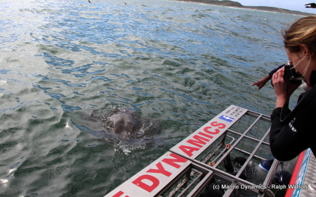 20190401_SF_Trip1_RWatson_IMG045_1554120502