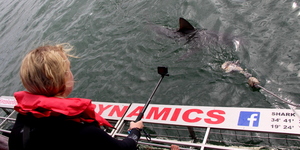 20190401_SF_Trip1_RWatson_IMG124_1554120499