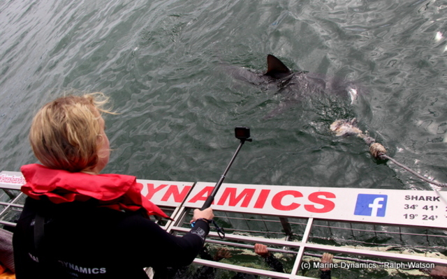 20190401_SF_Trip1_RWatson_IMG124_1554120499