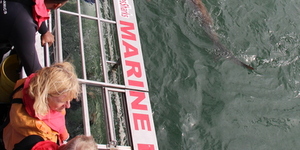 20190401_SF_Trip1_RWatson_IMG149_1554120500