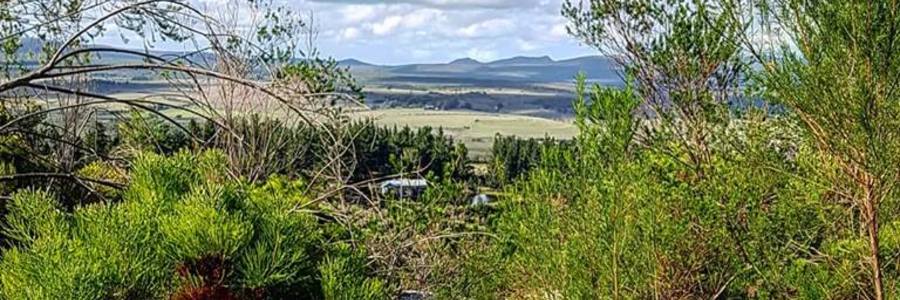 56300104_827319277626175_4373360061288808448_n_1554274360