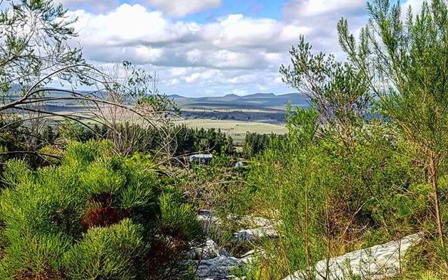 56300104_827319277626175_4373360061288808448_n_1554274360